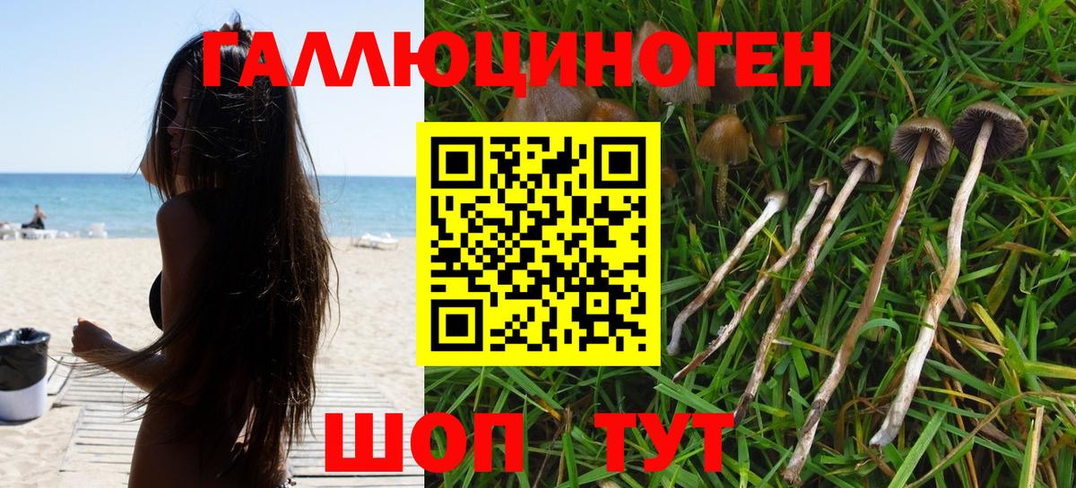 Галлюциногенные грибы мицелий  Вход с VPN  Ишимбай 