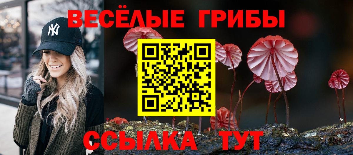 Галлюциногенные грибы ЛСД Ишимбай